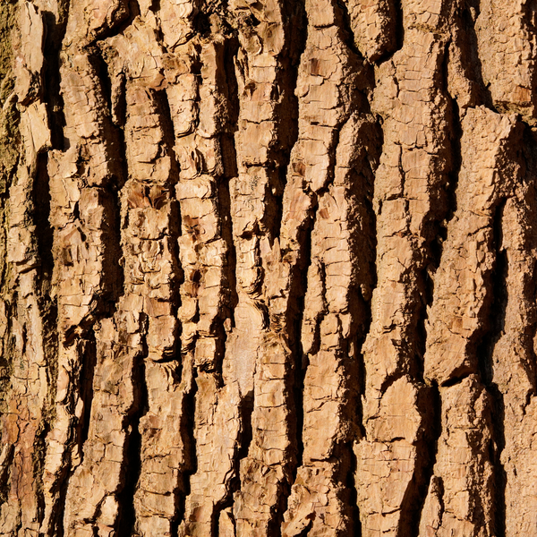 0.45% White Willow Bark (natural BHA source)